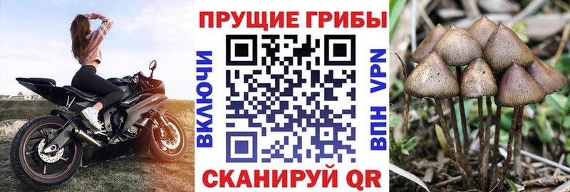 Псилоцибиновые грибы MAGIC MUSHROOMS  Среднеколымск 